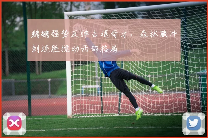 鹈鹕强势反弹击退奇才,森林狼冲刺连胜搅动西部格局