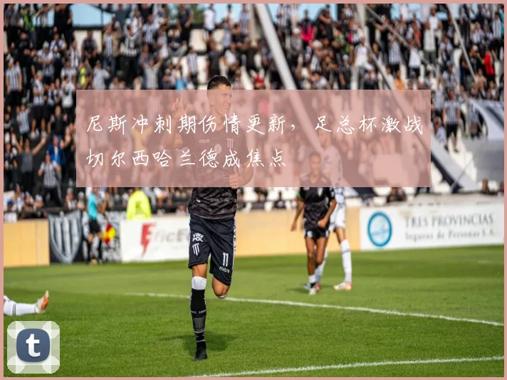 尼斯冲刺期伤情更新，足总杯激战切