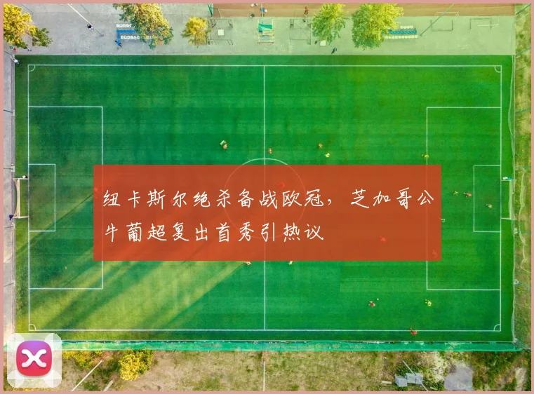 纽卡斯尔绝杀备战欧冠，芝加哥公牛